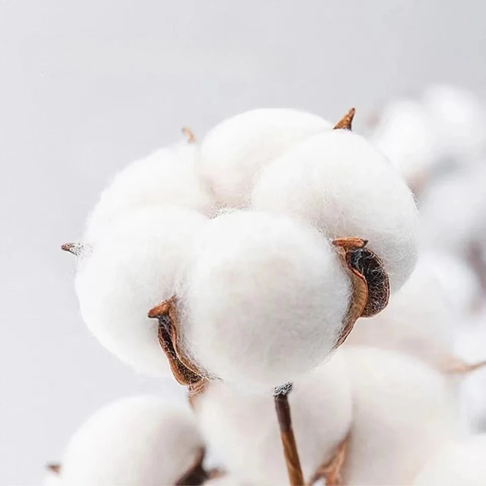 T-Shirt Chrétien Homme “Jesus Is King / Jesus Loves You” – Tee Shirt Foi & Streetwear – Du S au 4XL