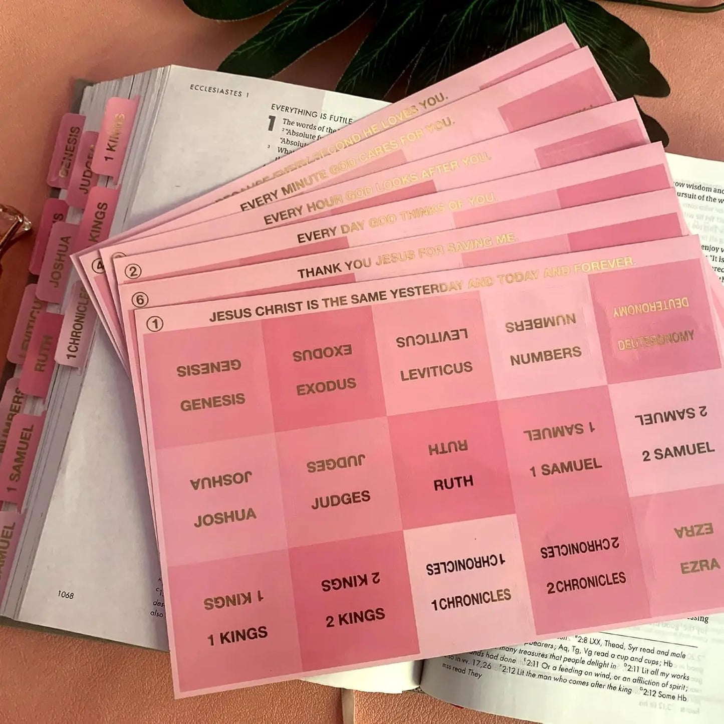 Onglets roses pour Bible — repérage facile & élégant