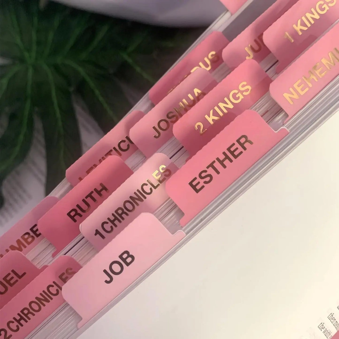 Onglets roses pour Bible — repérage facile & élégant
